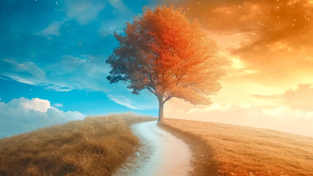 a hill with a tree and a path, with blue landscape on the left and orange on the right