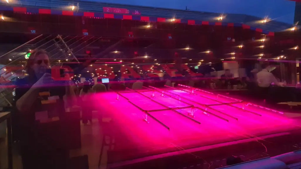 FC Basel's Joggeli, view from the event lounge, pink light for the grass